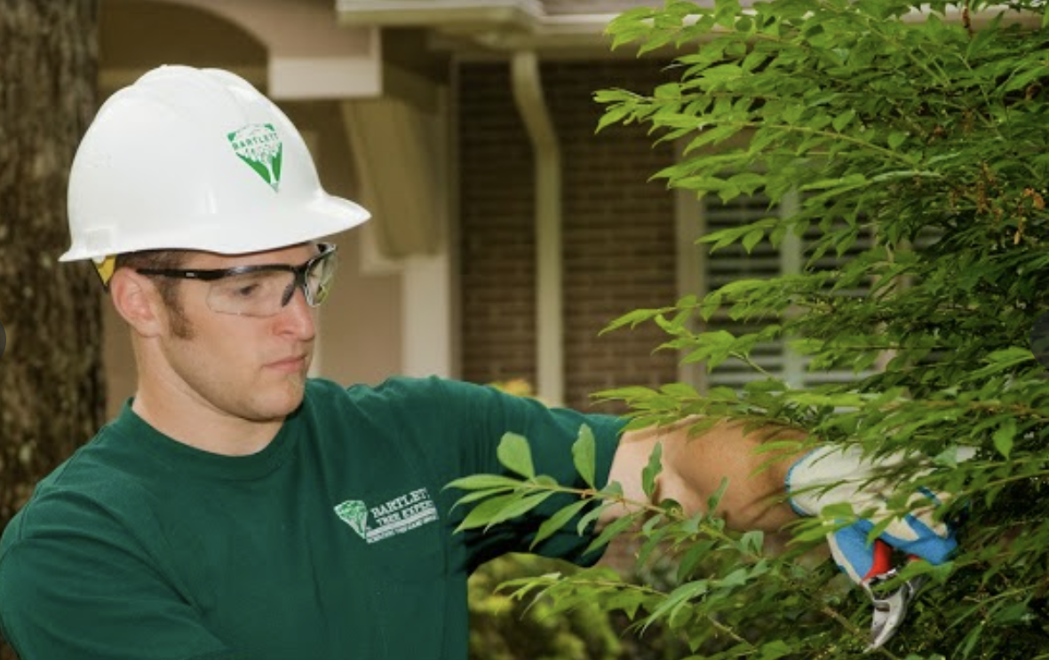 Bartlett Tree Experts Expands 